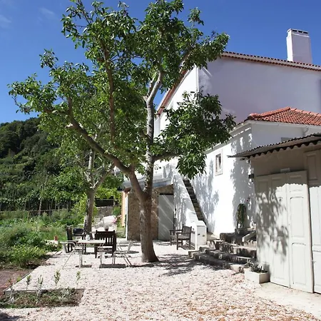 Appartement Ribeira Dos Marinheiros Amarelo *