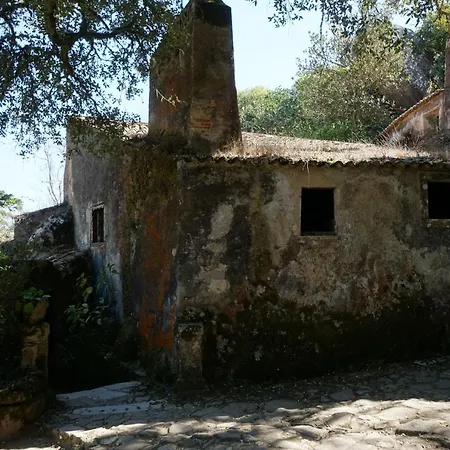 Ribeira Dos Marinheiros Amarelo *