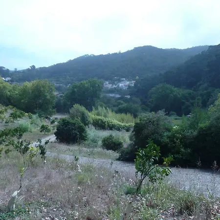 アパート Ribeira Dos Marinheiros Amarelo シントラ