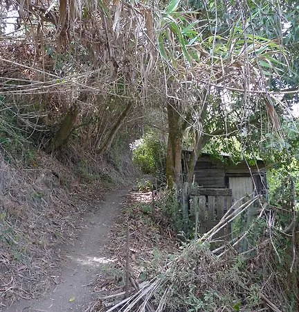 Ribeira Dos Marinheiros Amarelo شقة سينترا